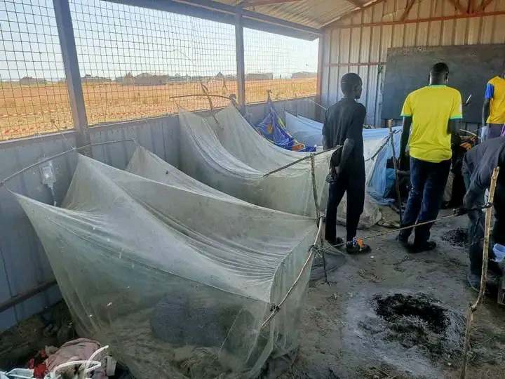 Healing Through Education