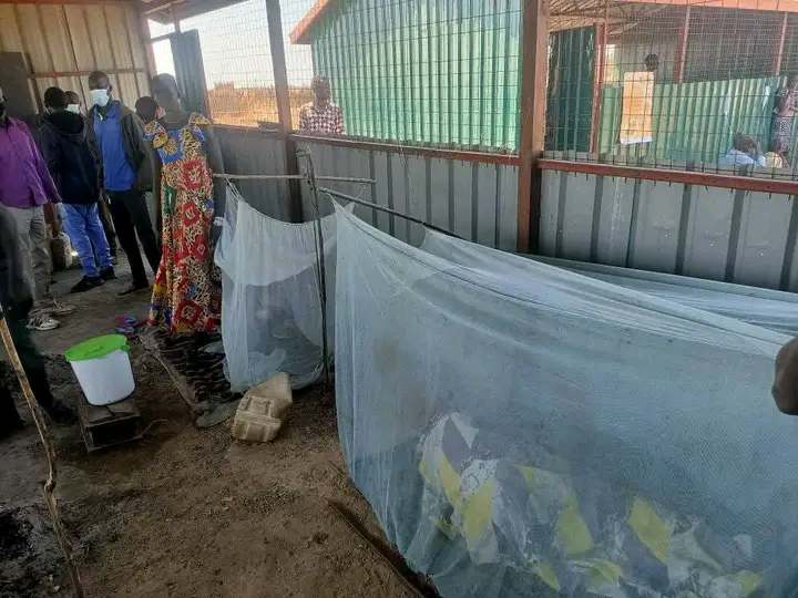 Children learning together